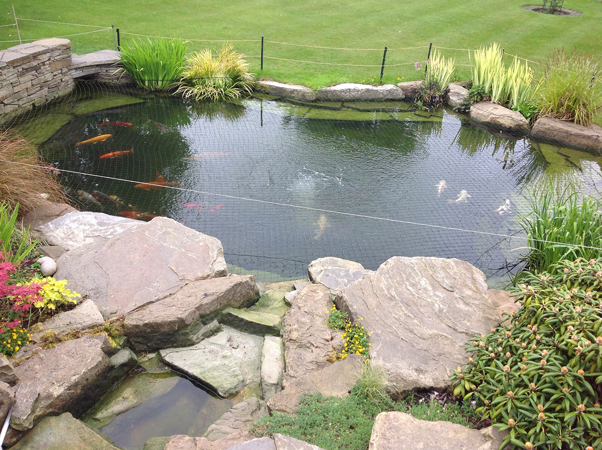 Pond digger hire in Wembley for pond excavation and landscaping